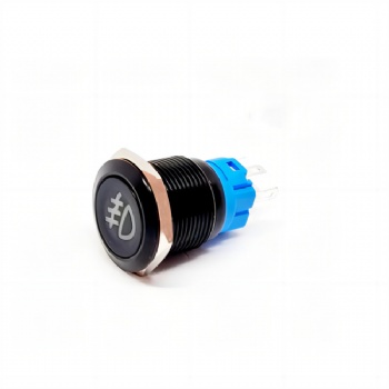 19mm front fog light switch