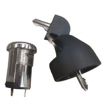 Panel Mount Key Operated Switch - SPST/DPST Latching Security Switch with 2 Keys